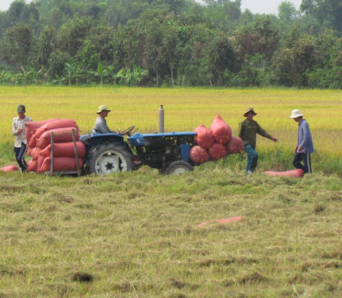 Thị trấn Tân Biên ra mắt 